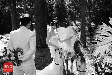 Best Pre Wedding Photography Sydney